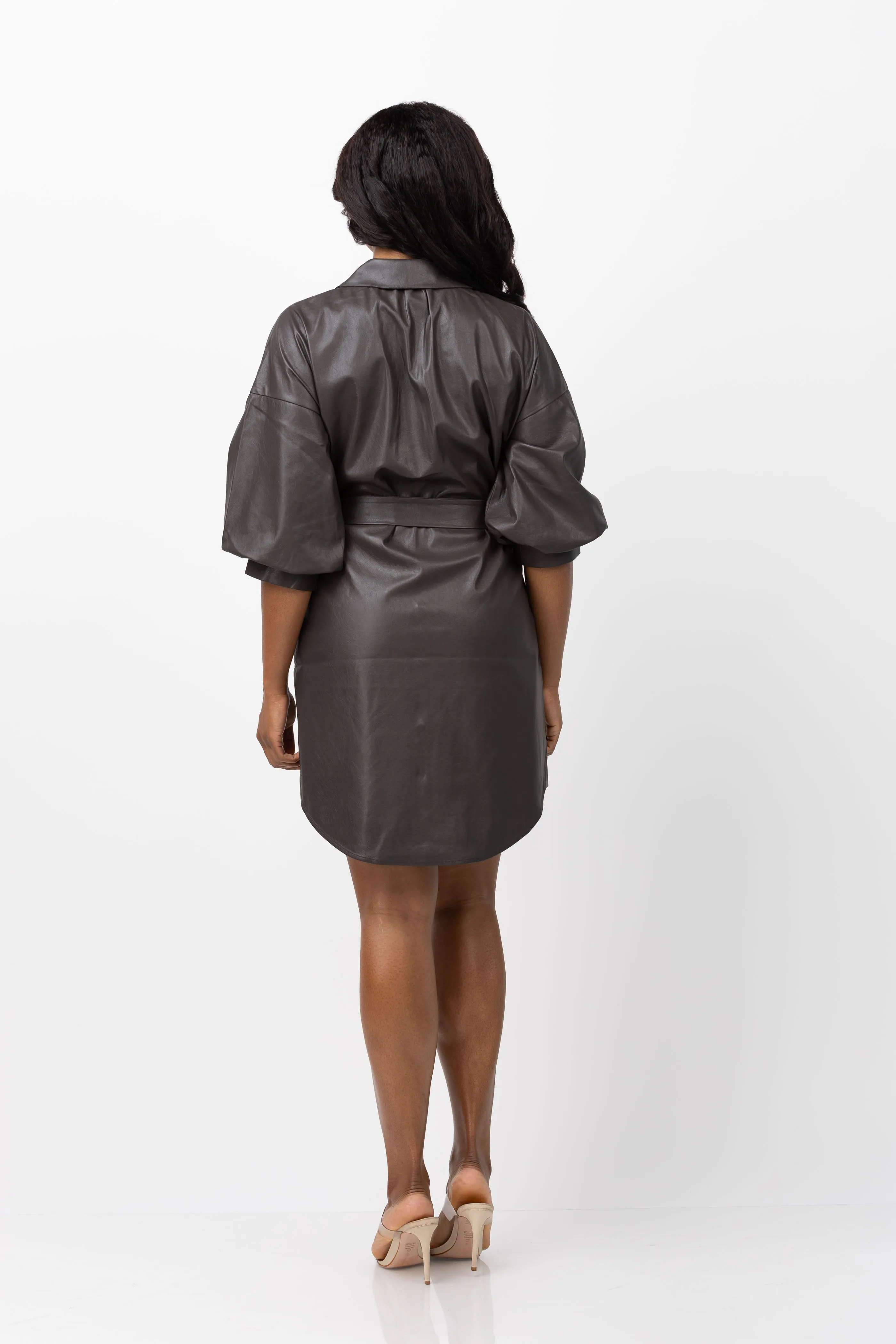 Brochu Walker Kate Belted Vegan Dress in Timber