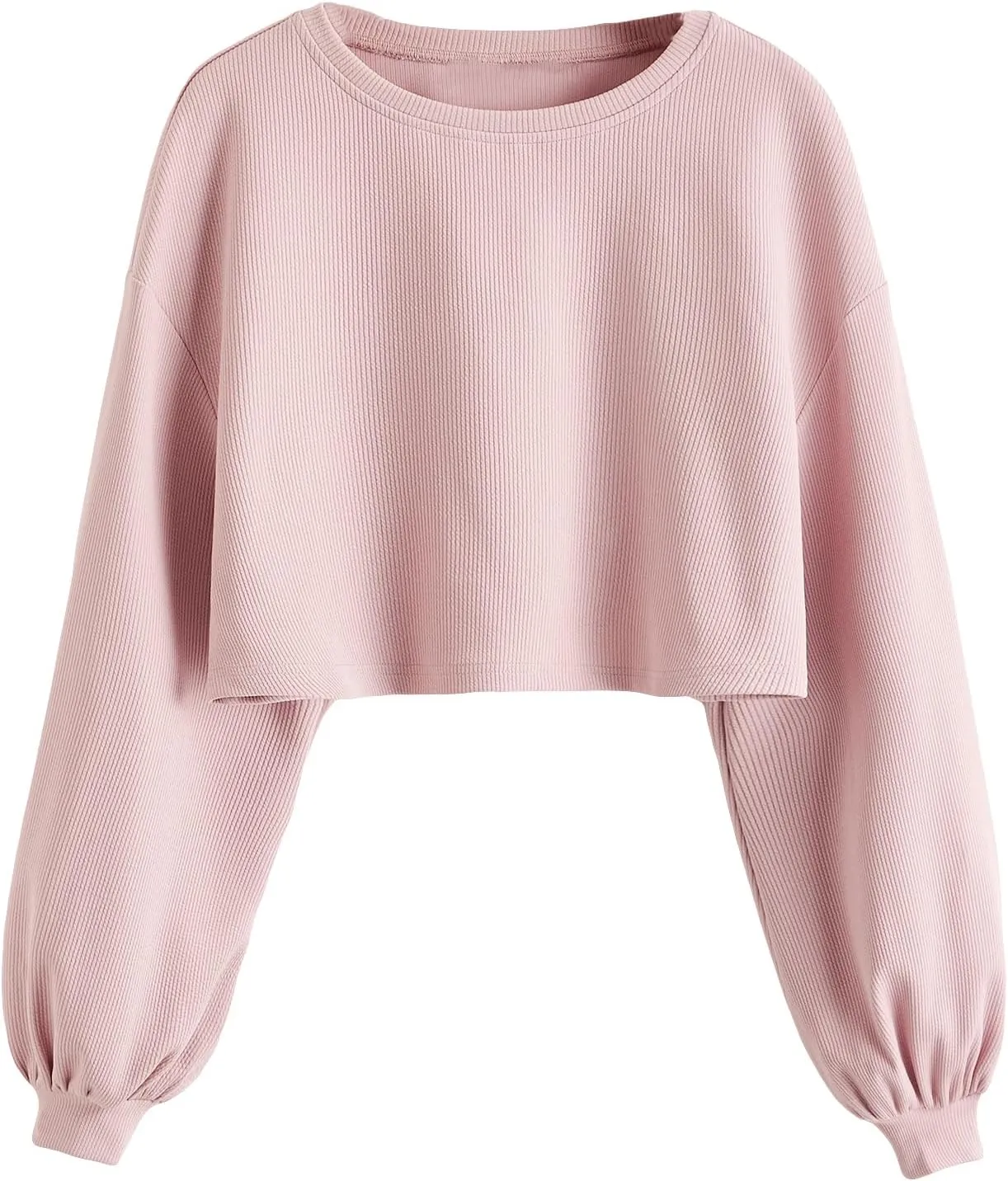 OYOANGLE Women's Casual Basic Crew Neck Raw Hem Crop Sweatshirt Long Sleeve Crop Tops