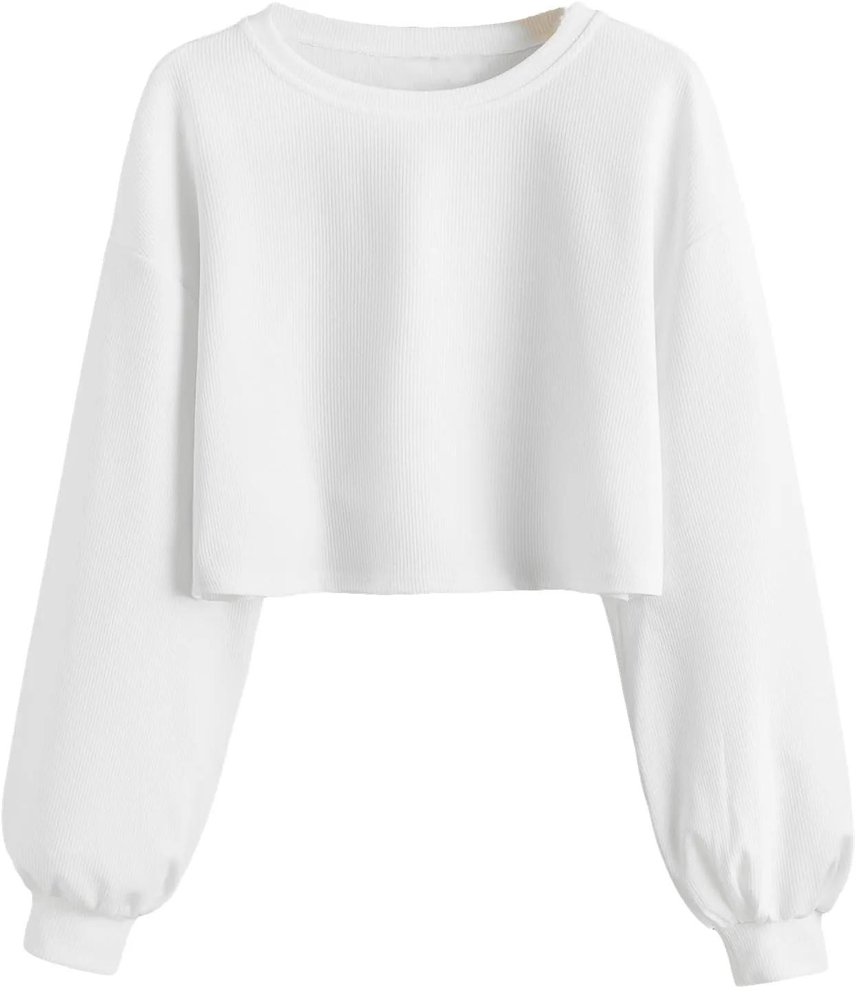 OYOANGLE Women's Casual Basic Crew Neck Raw Hem Crop Sweatshirt Long Sleeve Crop Tops