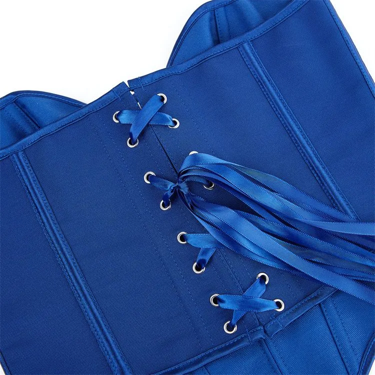 Womens Corset Tops Renaissance Boned Overbust Body Shaper Waist Cincher Bustier